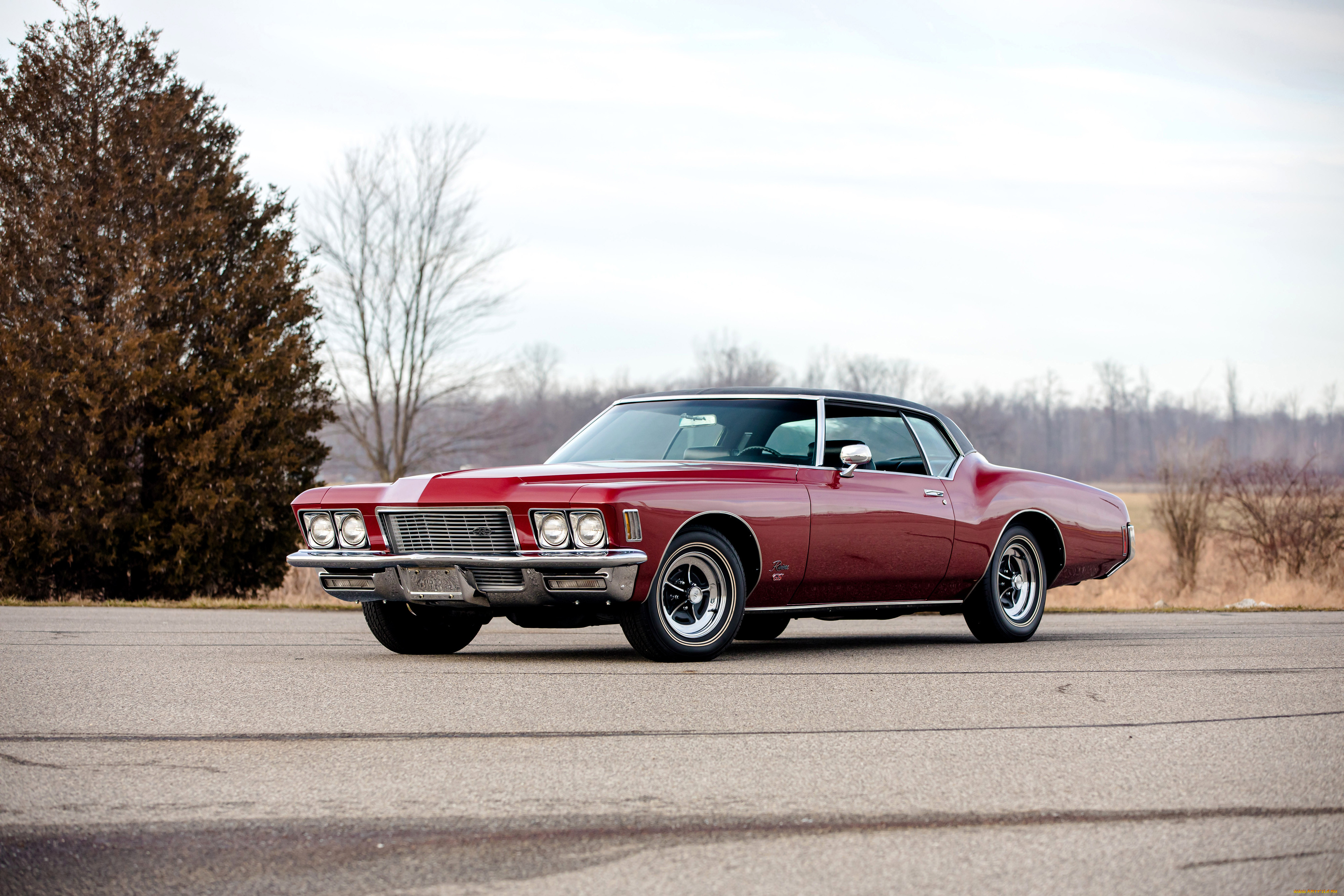 ����������, buick